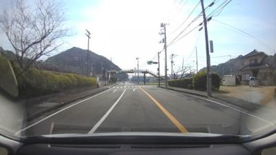 伊豆は春でした 2025.01.23　＝3.爪木崎から南伊豆へ移動=