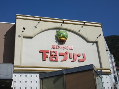 下呂温泉街をゆっくり散策　カエル探し