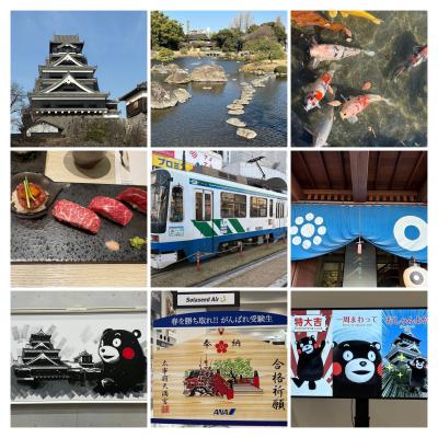 2025/1月末　熊本へ　熊本といえばやっぱりくまモン