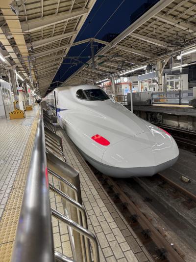 お正月明け、何十年かぶりの新幹線で大阪に帰ってきました。