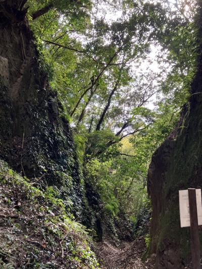 100名城・続100名城鹿児島、宮崎編(志布志城)