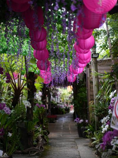 ..★...沖縄~かりゆしホテル・那覇市内編~...★..