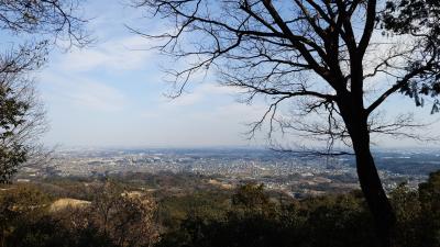 日和田山に登る