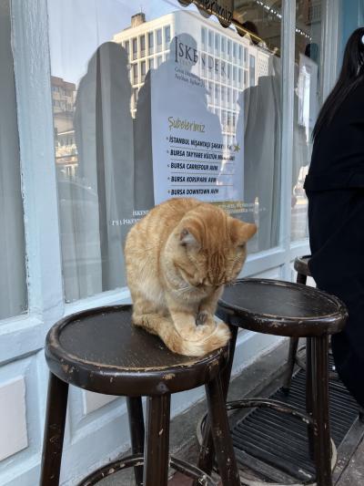 【ブルサ3日目編⑤】2024年末旅 トルコとギリシャキオス島へ