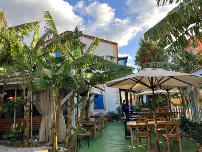 【アラカティ編⑥】2024年末旅 トルコとギリシャキオス島へ