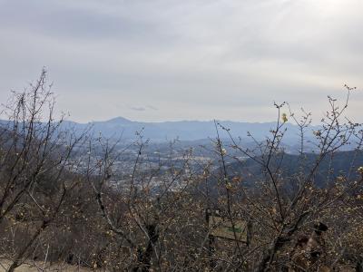 秩父　宝登山と白寿の湯