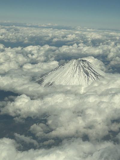 思いつきの台湾南部旅５（帰国）