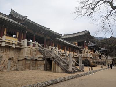 206回目訪韓(2025/2/14金~16日)④/⑥慶州