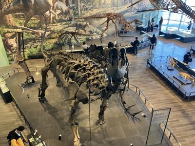 長崎恐竜博物館