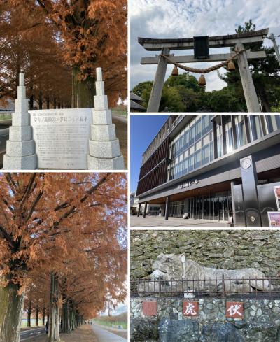 2024年末・年始のお出かけ編(マキノのメタセコイヤ並木、日吉神社+小椋佳歌紡ぎの会in和歌山)