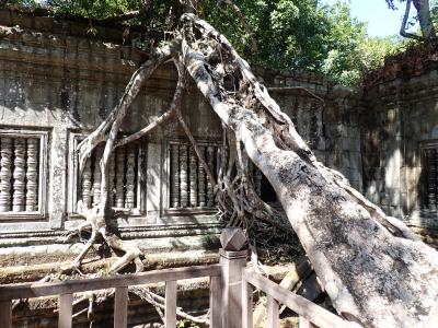 カンボジア遺跡巡り　ベンメリア～ロリュオス遺跡群