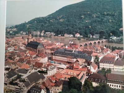 ドイツ　クリスマスマーケット巡り２０２４　～お待ちかねのハイデルベルク城（笑）そして予想外の展開！？～