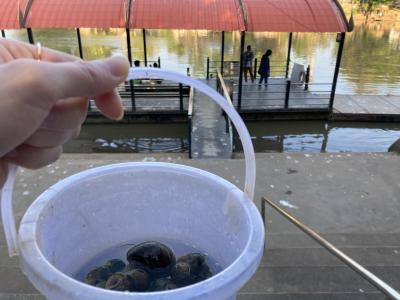 チェンマイ旅行記② 旧市街のカフェ・お寺散策・ヨガ