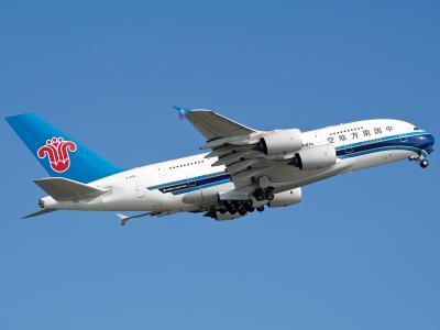 ウイグル自治区　まさかの飛行機飛ばない？日本人ファミリーに助けられた烏魯木斉　天山天地行かずウイグル博物館