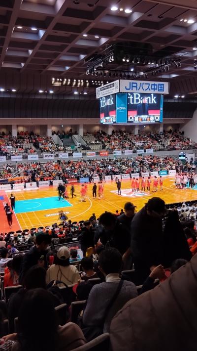 2025広島とバスケ観戦
