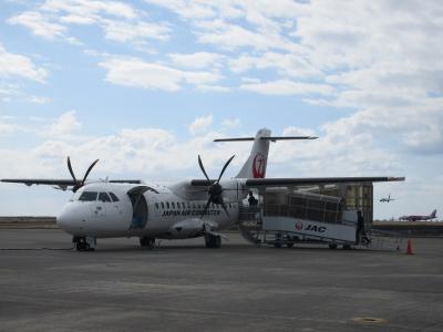 奄美しまめぐり割で行く奄美大島1泊2日の旅