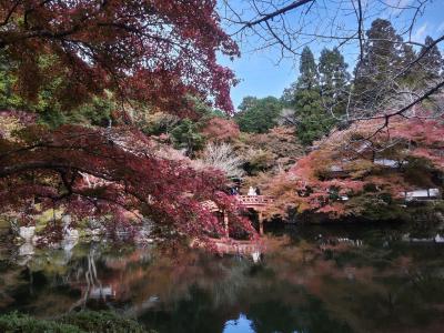 京都市伏見区①　醍醐寺