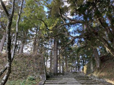 100名城・続100名城鹿児島、宮崎編(飫肥城)ちょこっと青島