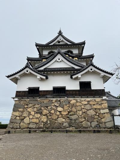 彦根城下町を二日かけて歩きました。二日目は彦根城。