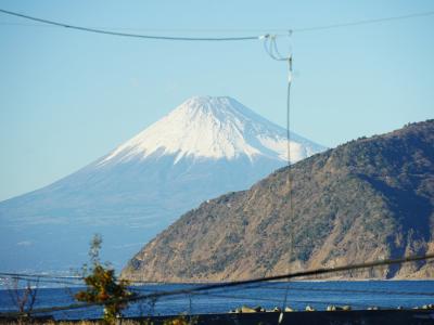 １月の伊豆旅　やぎさわ荘で温泉三昧
