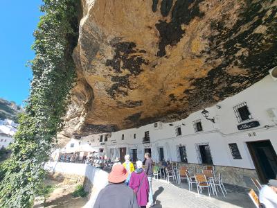 2025.2 アーモンドの花と鈴なりのオレンジに癒される 2月のアンダルシア 1.日程&備忘録