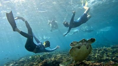 ｼｭﾉｰｹﾘﾝｸﾞ三昧のバリ周辺の島々　②マンタとタートルと泳ぐ