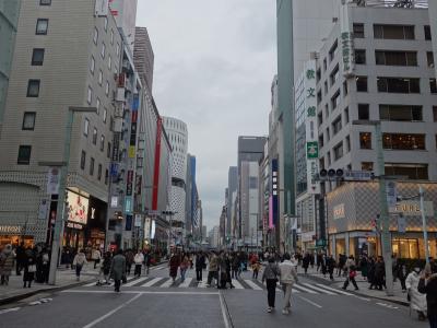 銀座二丁目でおいしい北京ダックをいただきました。