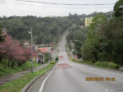 2025.1-2：沖縄推し活等（１）：ミリンマル、あいみょんの聖地、あいみょんのライブ（ドルフィン・アパート沖縄初日）、やきとりパンチ等