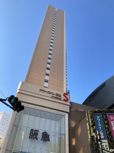 お江戸に行きました。お登りさん定番都庁展望台高いところ好き