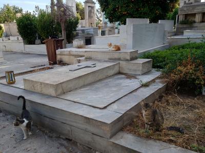 2025年5月 ギリシャ旅行 アテネ3日目