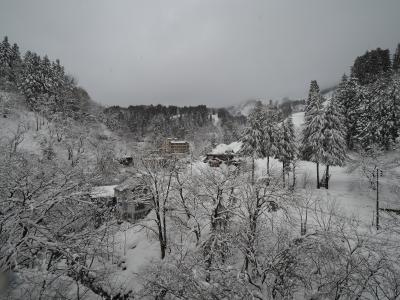 美酒佳肴　冬の新潟旅その2　蓬平温泉・和泉屋宿泊編