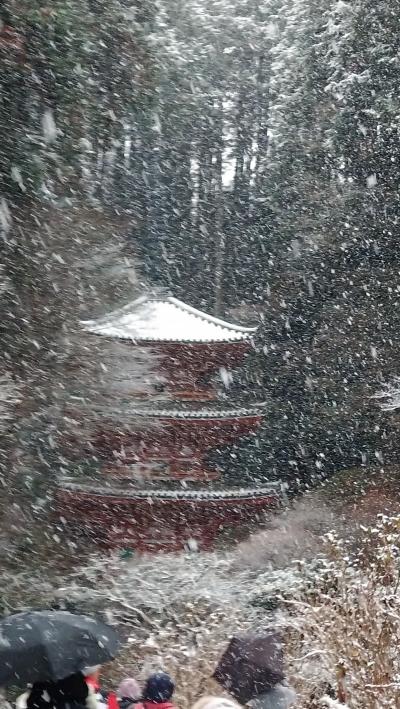 阪九フェリーで行く新春の京都・奈良第2弾　今度は雪の京都木津川・柳生の里の旅１　岩船寺