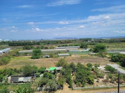 3月なのに真夏?南国台湾3日間の旅 Part3 2日目前編