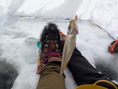 群馬まで氷上ワカサギ釣りしに行った話