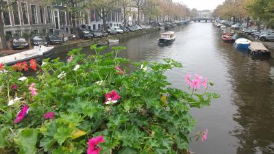 2024年秋・アムステルダム（前編：パリからの移動とアムステルダム市内街歩き）