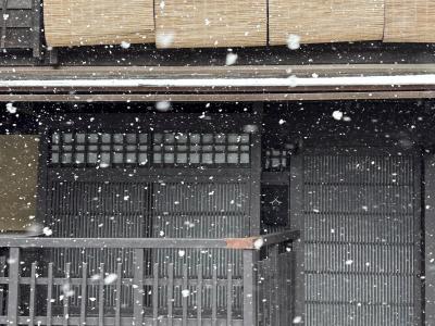 今日のお散歩　：　祇園の雪～下鴨神社～滋賀県守山 第一なぎさ公園～京都御苑