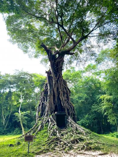 ひとり旅　カンボジア　サンボープレイクックに行きたい！②
