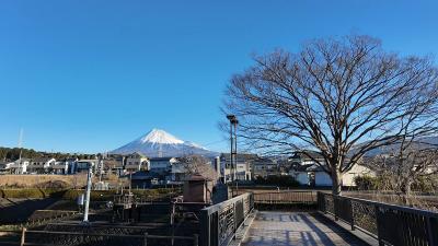 散歩・原田公園 2025.02.04