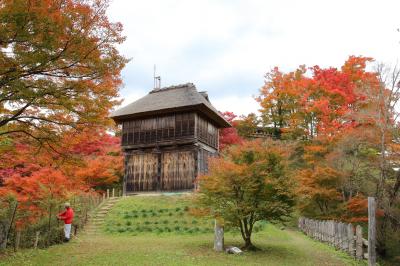 2024年 愛知・静岡紅葉見物 １日目 その２