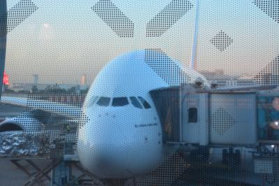 嫁はんの願いを叶えにピラミッドに逢いに行くその①