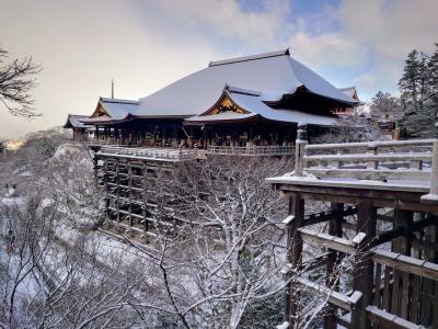京の都は雪も似合うね　　　　　　公共交通機関利用の日帰り観光　　前編