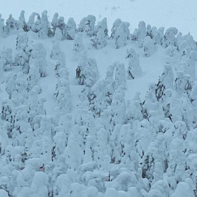 山形旅行一泊目は樹氷を見に蔵王へ