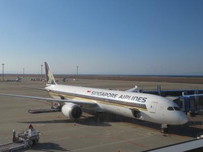 クラウン・プリンセスで巡るシドニー発着ニュージーランド周遊クルーズ①渡航編