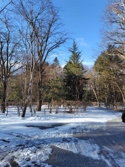 不要不急の旅　3日目