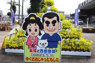 指宿の砂むし会館「砂楽」を訪問