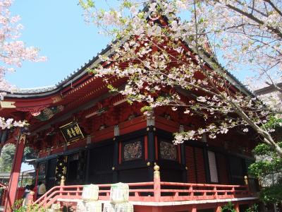 坂東三十三観音～第20番 西明寺、第23番  正福寺、第24番 楽法寺、第25番 大御堂、第26番 清瀧寺、第28番 龍正院