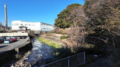 散歩・鎧ケ渕親水公園周辺 2025.02.04