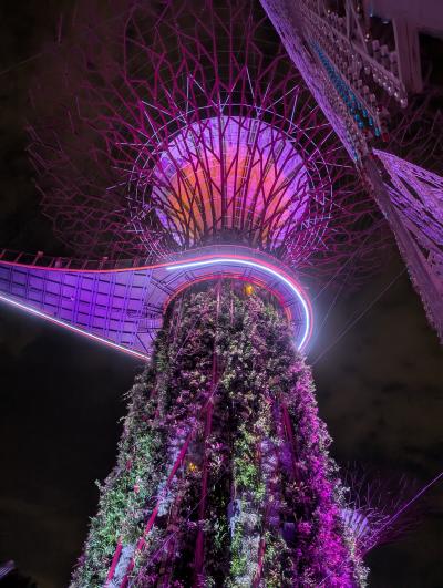 アンセムオブザシーズ クルーズ旅行 下船後のシンガポール