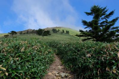 愛媛／高知登山旅②　笹ヶ峰／寒風山登山と高知松山観光