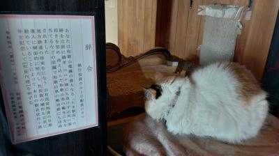 2025年九州乗り撮り鉄の旅①